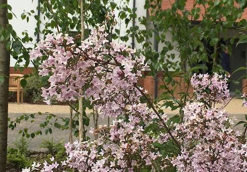 Farley Hill Landscapes Gardens 3